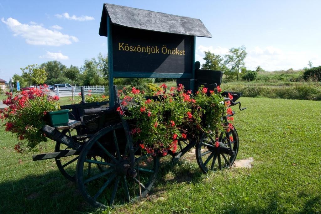 Hetkuti Wellness Hotel Es Lovaspark Mór エクステリア 写真